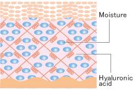 Hyaluronic Acid Foods,Foods Hyaluronic Acid