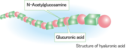 Hyaluronic Acid Foods,Foods Hyaluronic Acid